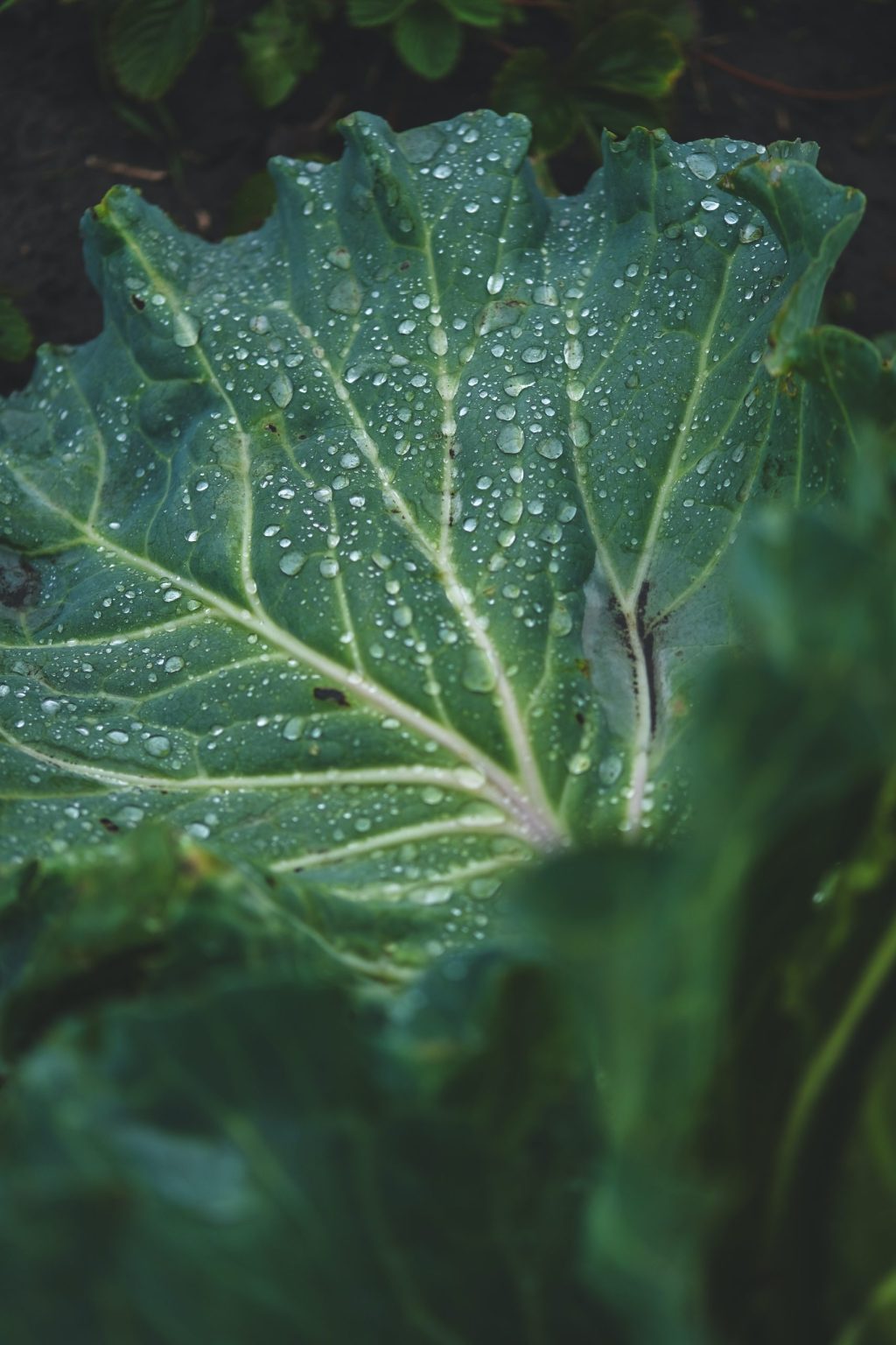 Il Giardino delle Idee nella storia di Ansa Termoplastici.